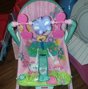 Fisher Price Infant to Toddler seat